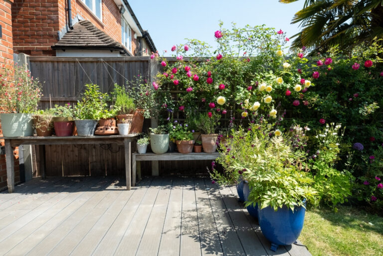 Wildlife friendly suburban garden with container plants (featured image)