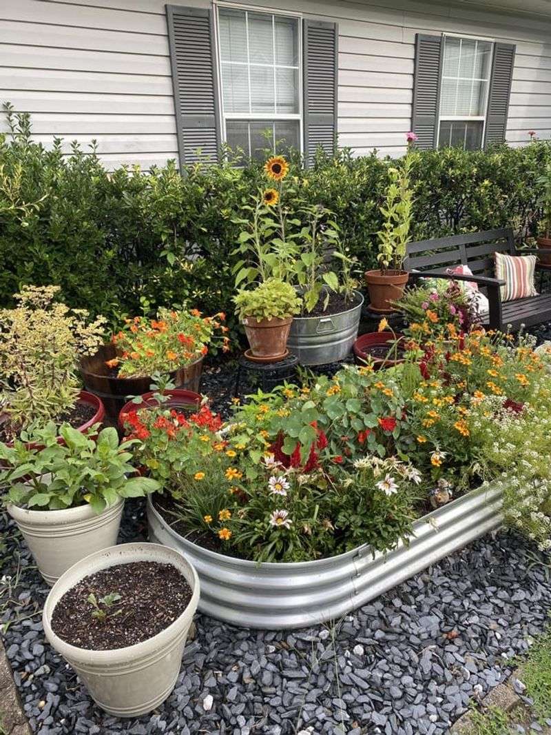 Scout Local Nursery Sales