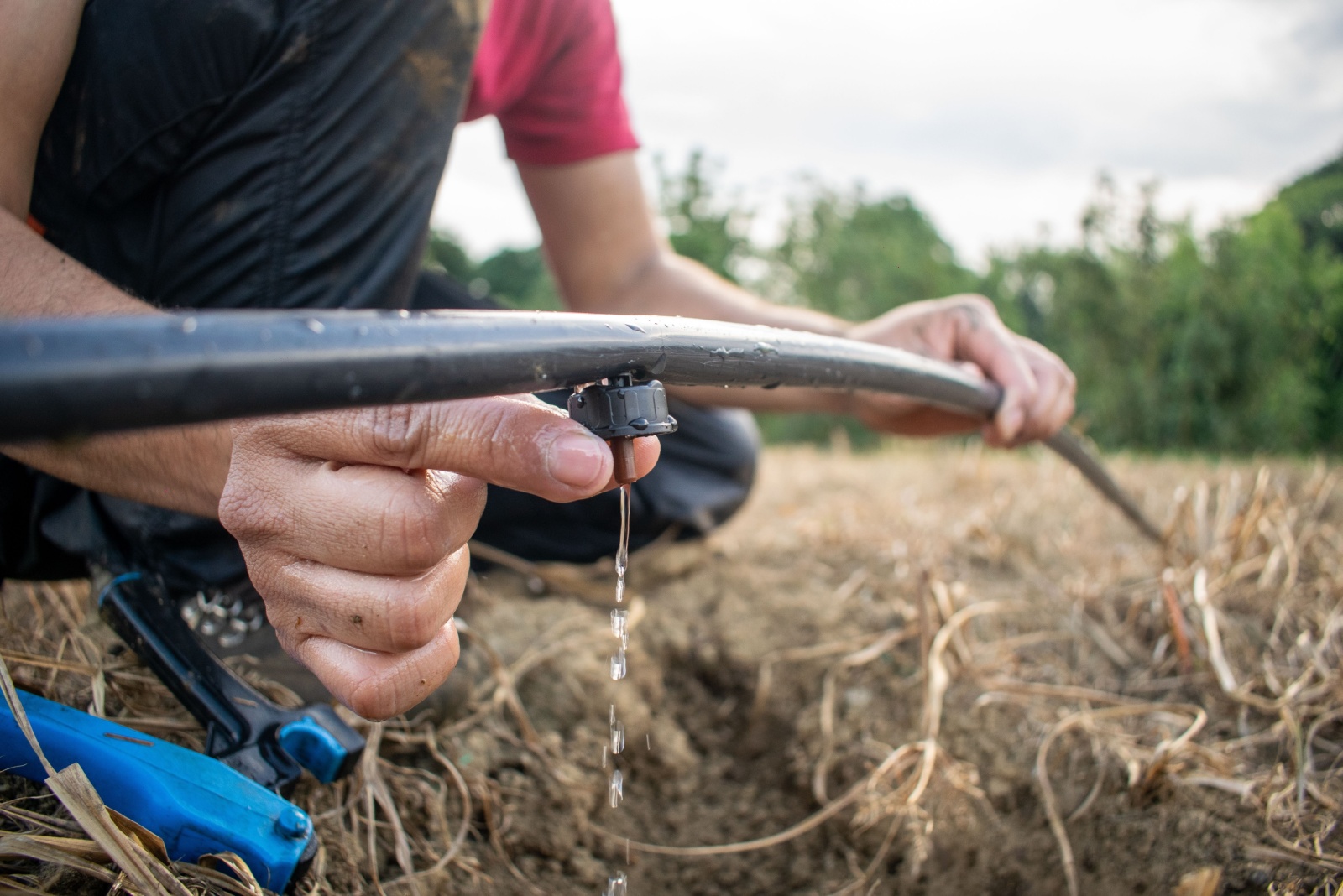 Drip Irrigation Hose – Efficient Watering for Crops