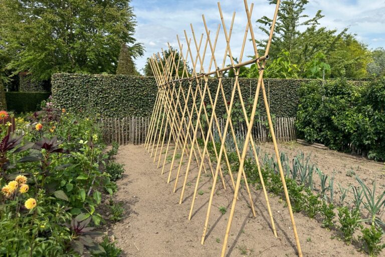branch trellis garden