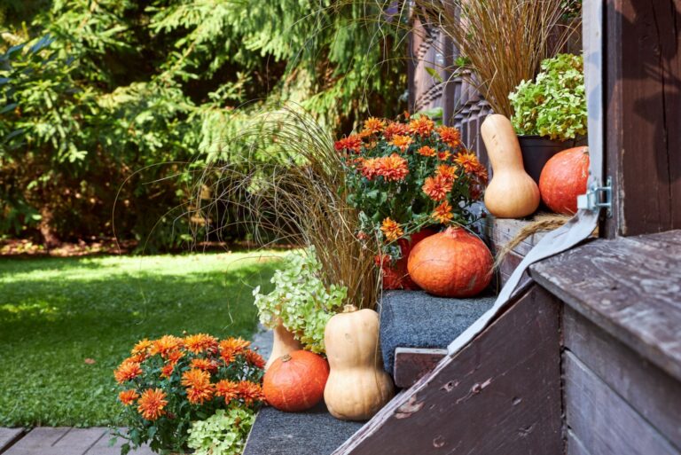 porch pumpkins