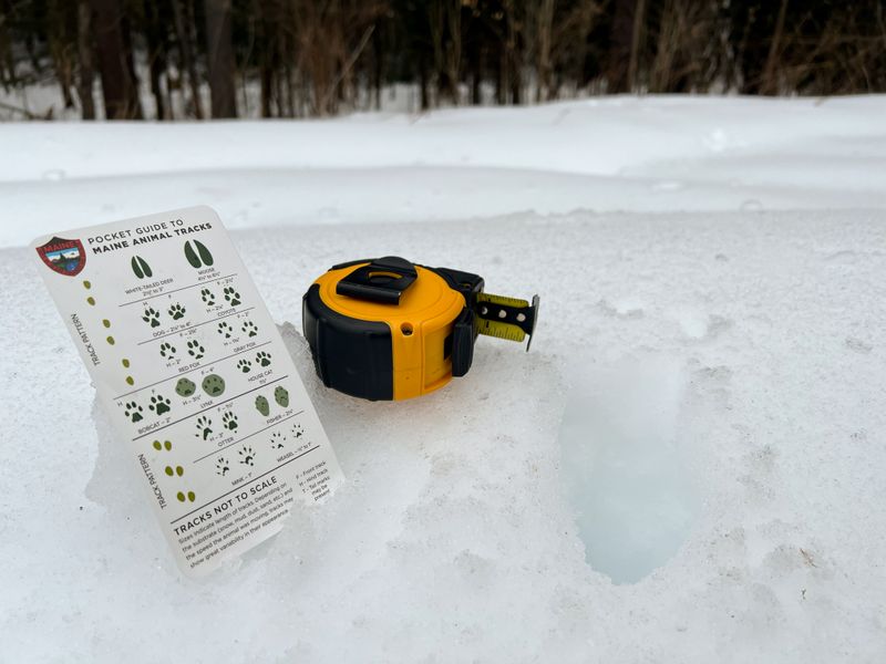 Gather Your Tracking Toolkit