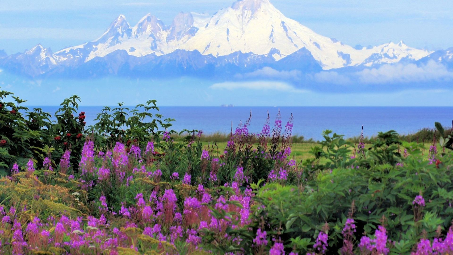 How To Try Wild Gardening In An Alaska Backyard