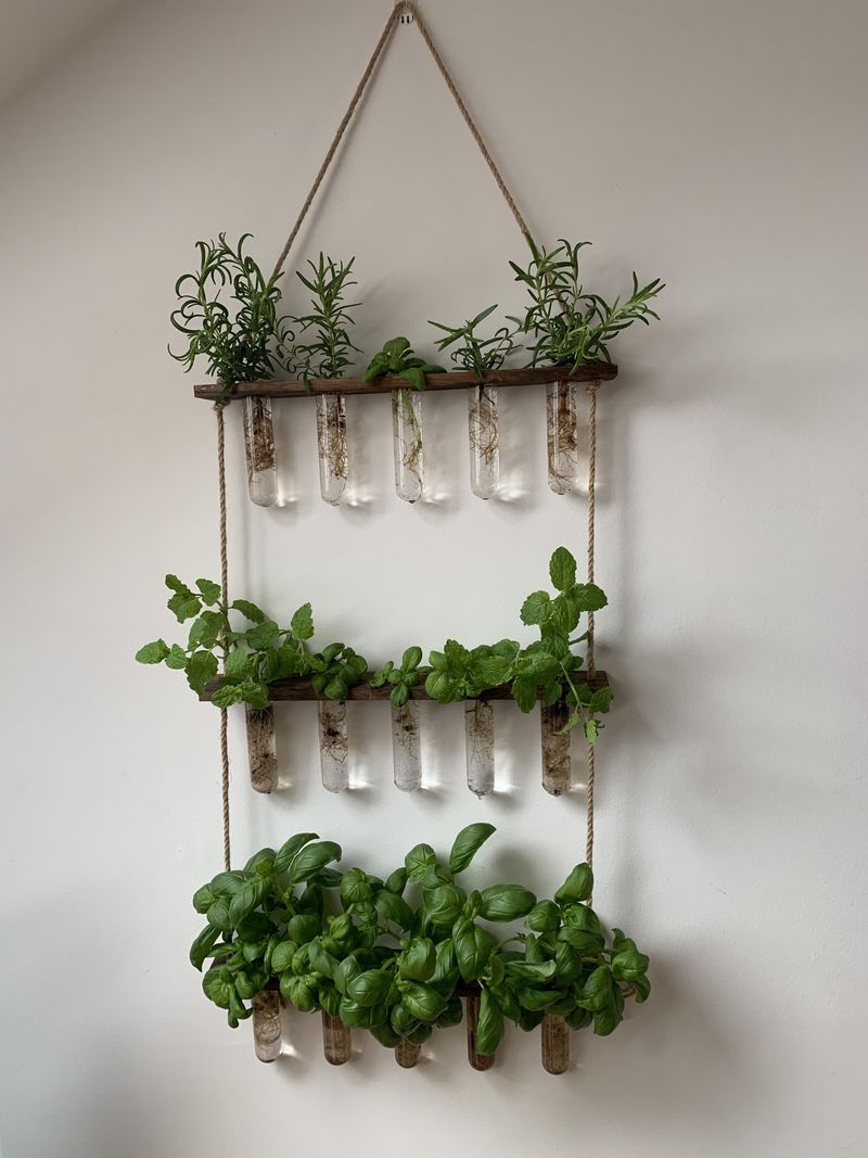 Hanging Window Display