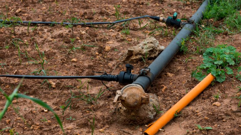 drip irrigation system