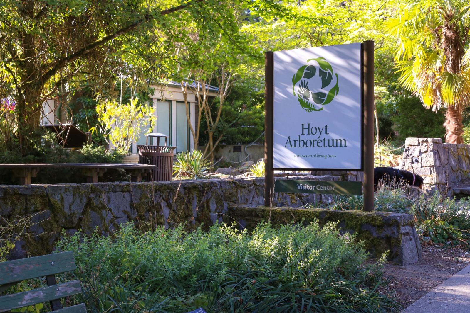 Hoyt Arboretum In Portland Oregon Is A Sanctuary For Global Tree Species
