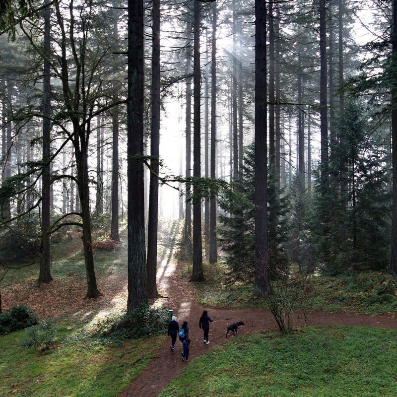 Living Museum With 2,300 Tree Species