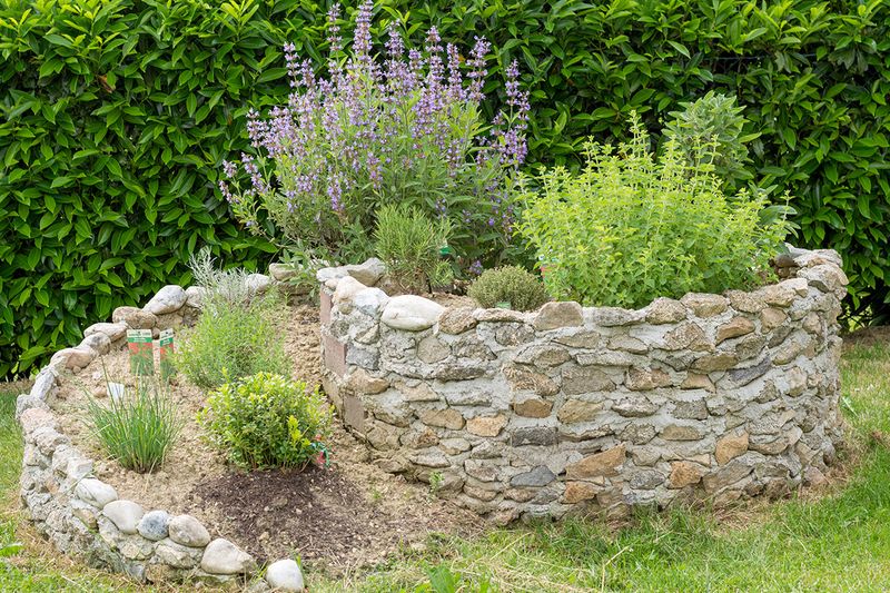 Spiral Layouts for Herb Gardens