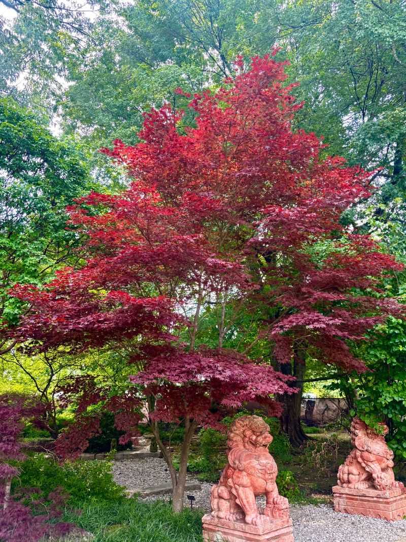 Spectacular Japanese Garden Addition