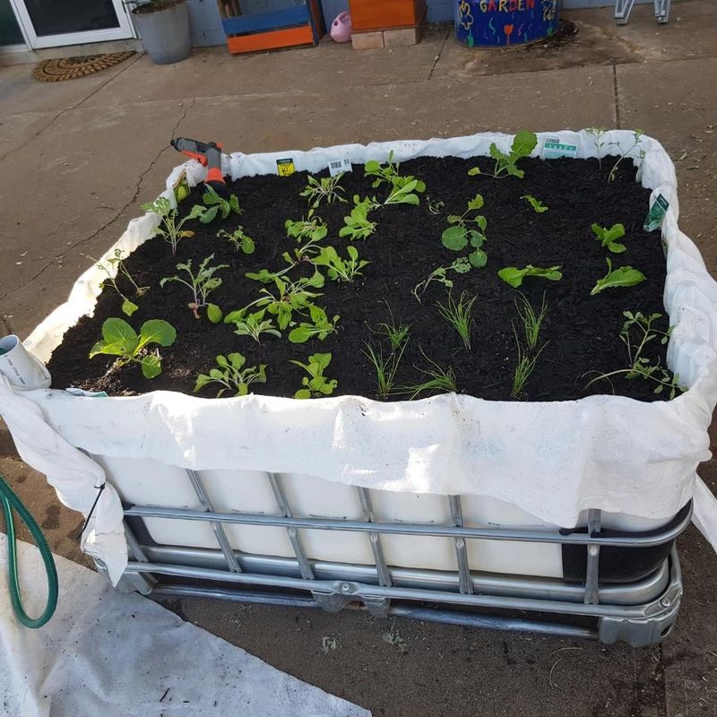 Wicking Bed Systems