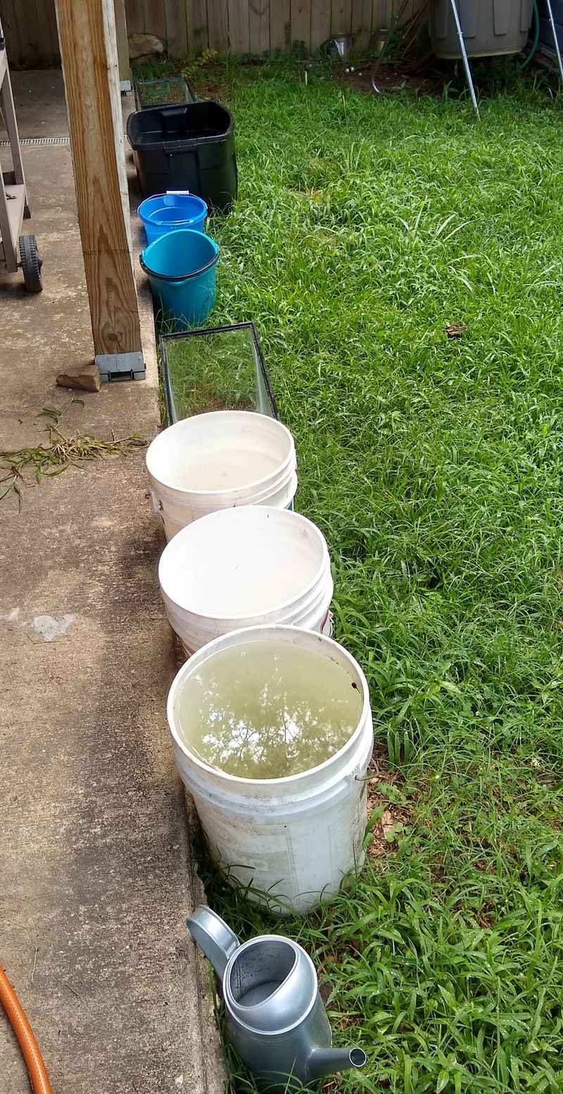 Rainwater Collection System
