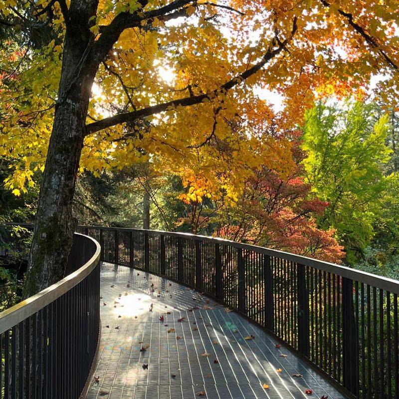 Maple Valley