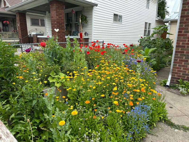Clay Soil Survivors