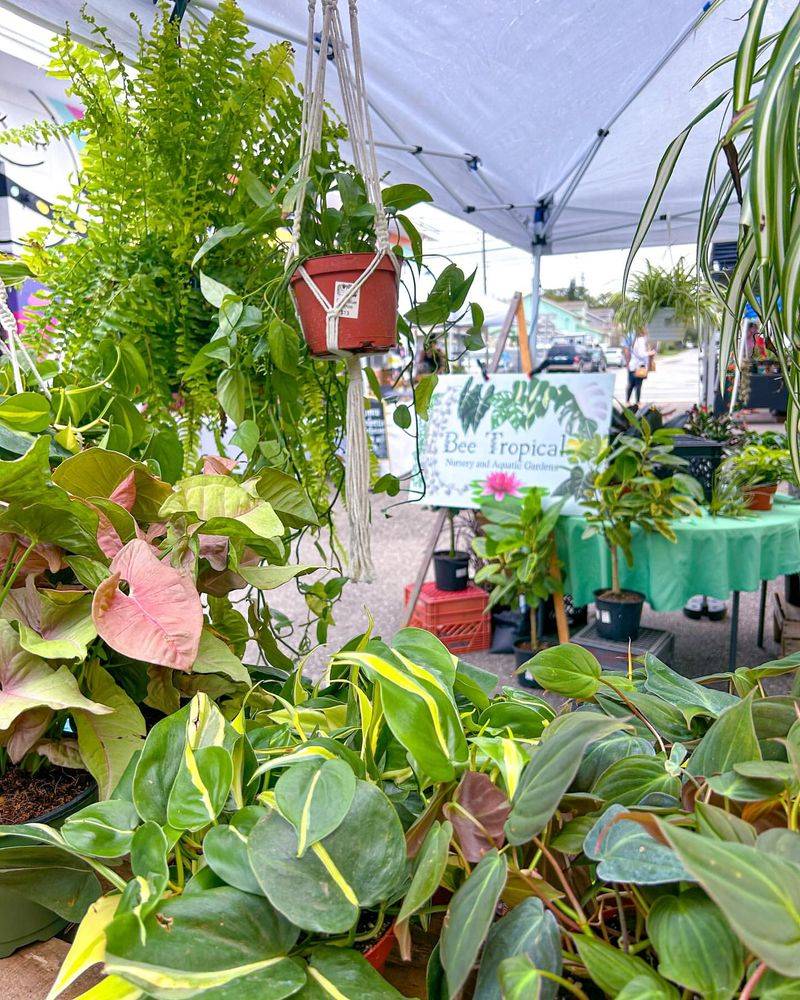 Join Plant Swap Communities