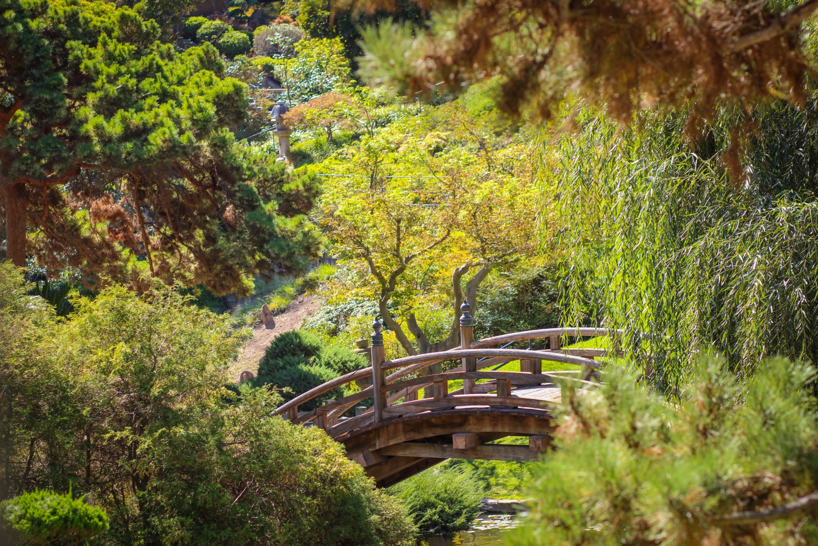 Huntington Botanical Gardens In Pasadena California Mix Plants With Garden Art