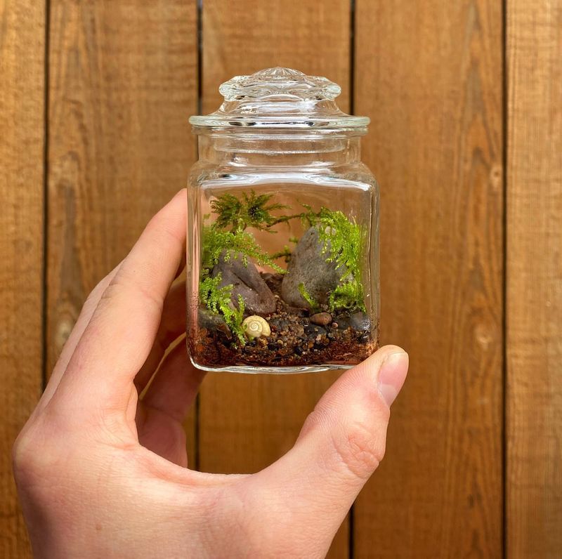 Humidity-Control Terrariums
