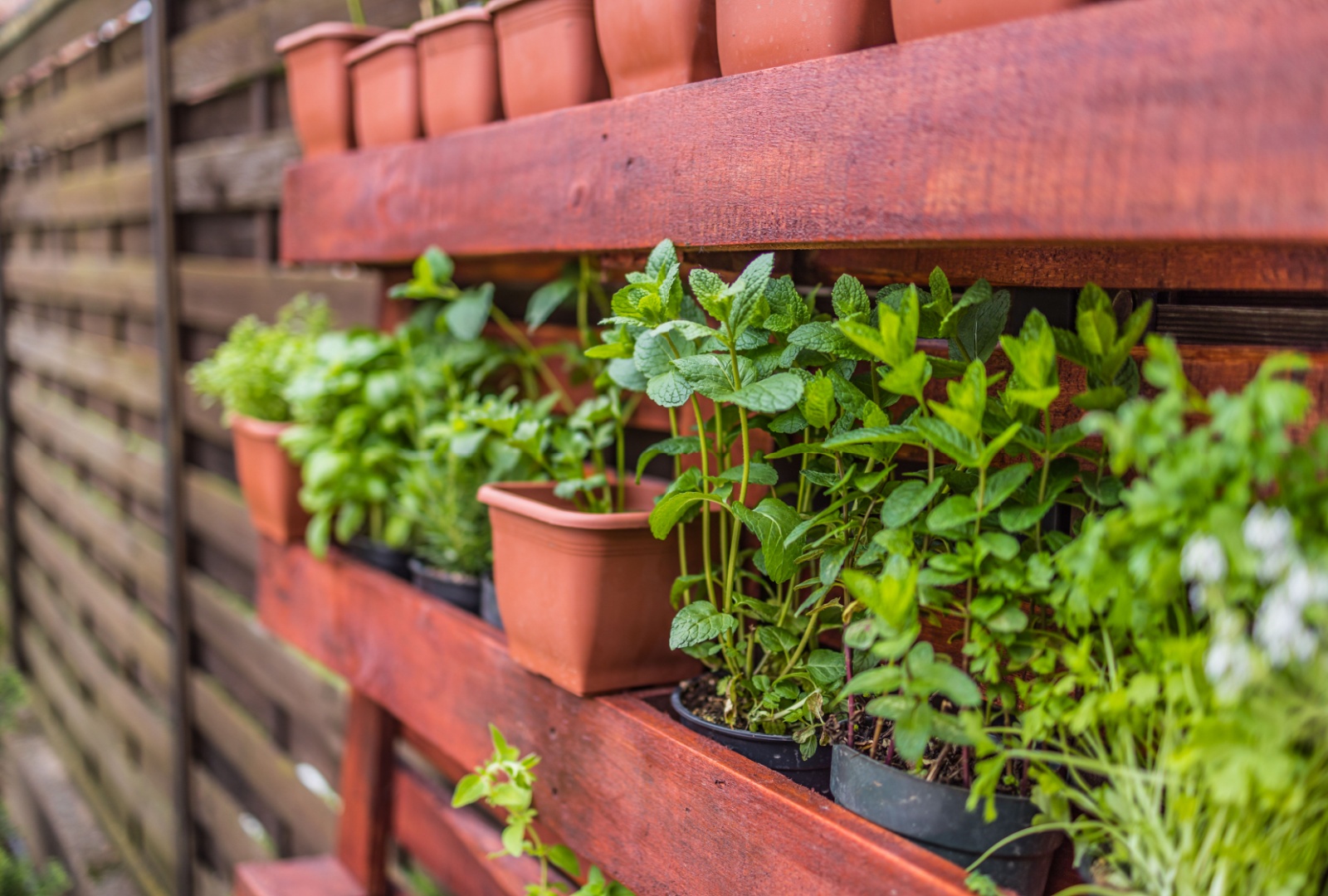 Ideas Dallas Gardens Could Use For Vertical Herb Walls For Convenience And Smell