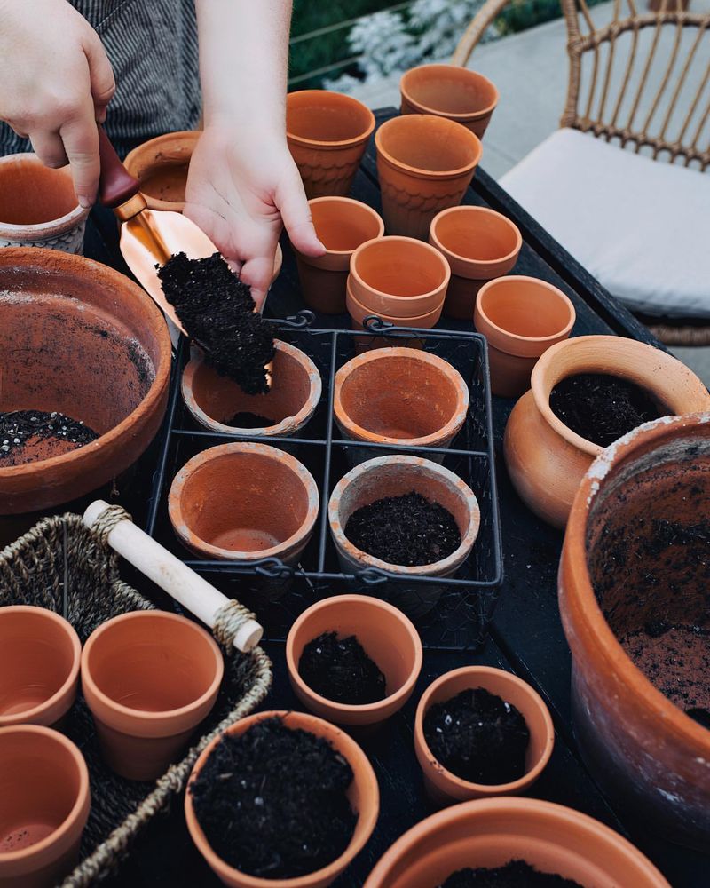 Desert-Friendly Pot Selection