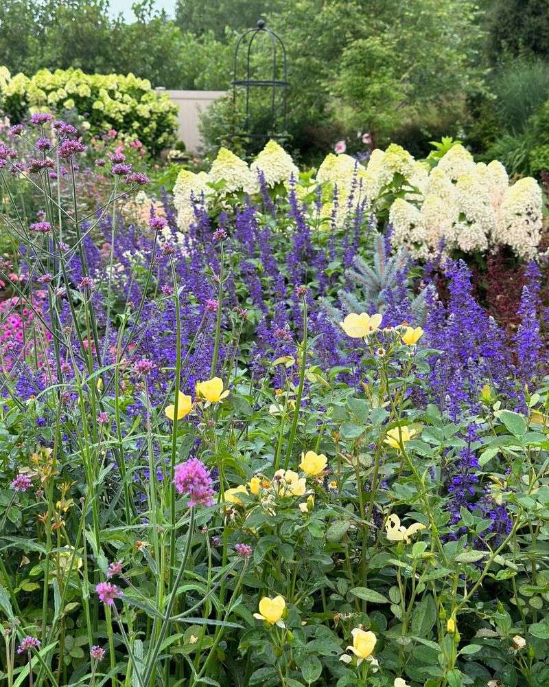 Sidewalk Border Gardens