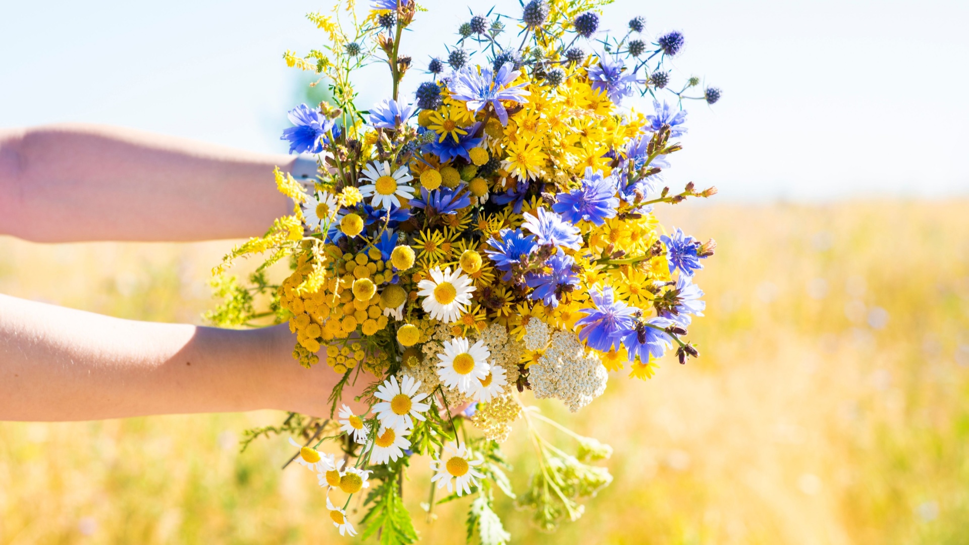 Ideas For Turning Cornfield Weeds Into Wildflower Bouquets In Buffalo Gardens