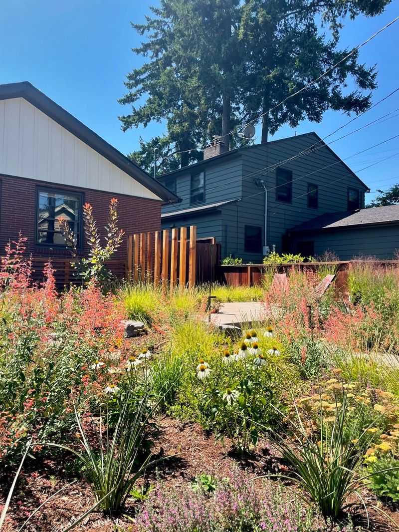 Front Yard Border Transformations