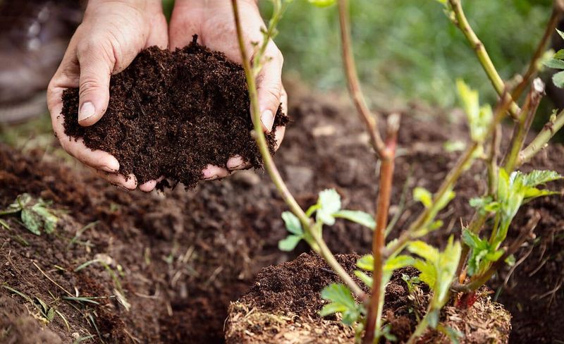 Test And Amend Soil