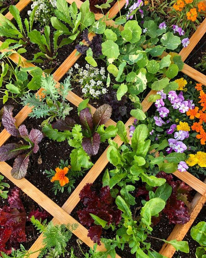 Planting Incompatible Neighbors