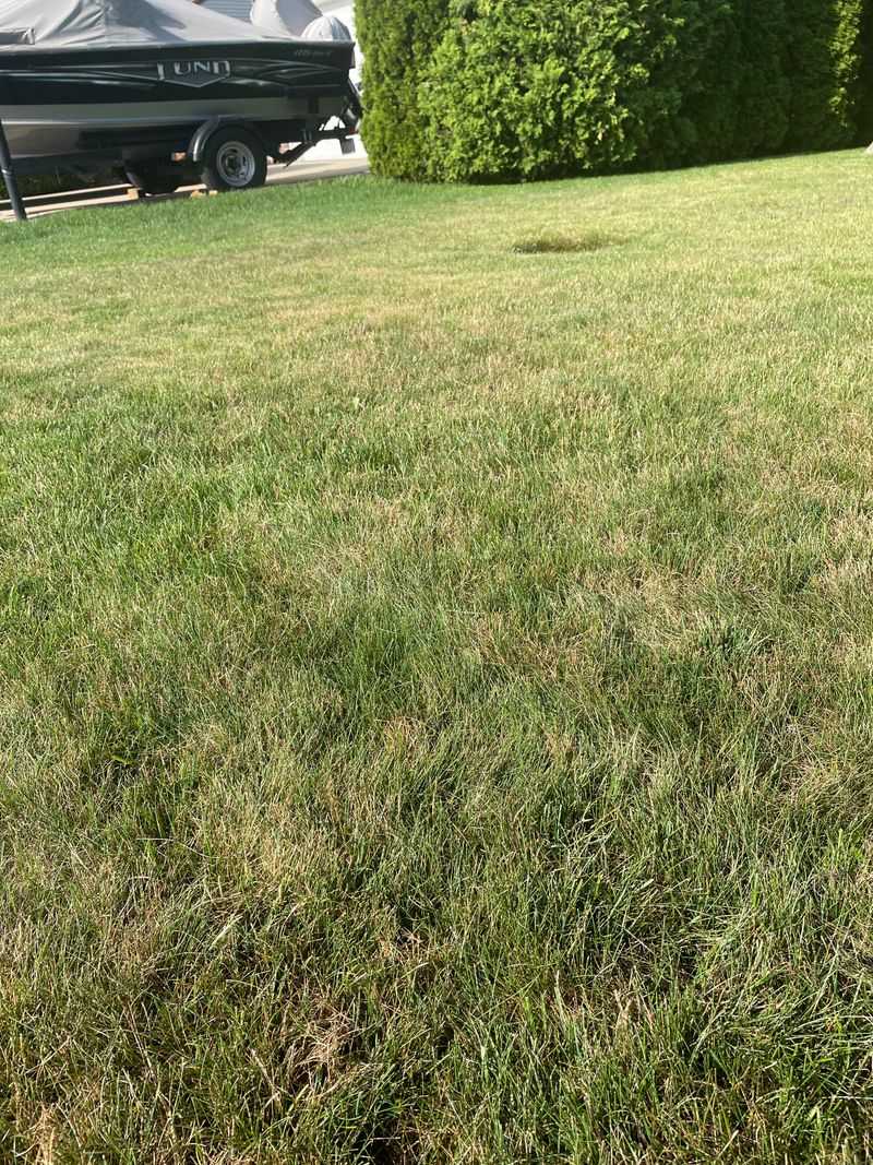 Improper Fertilizer Timing