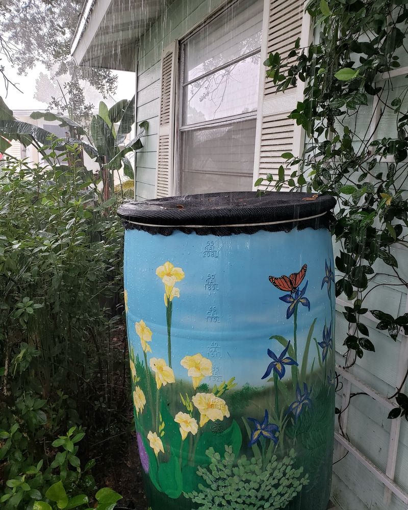 Overlooking Rain Harvesting