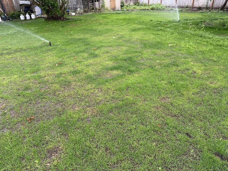 Overseeding at Wrong Times