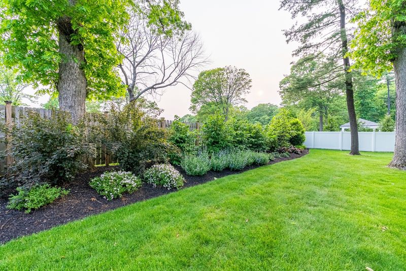 Neglecting Lawn Care