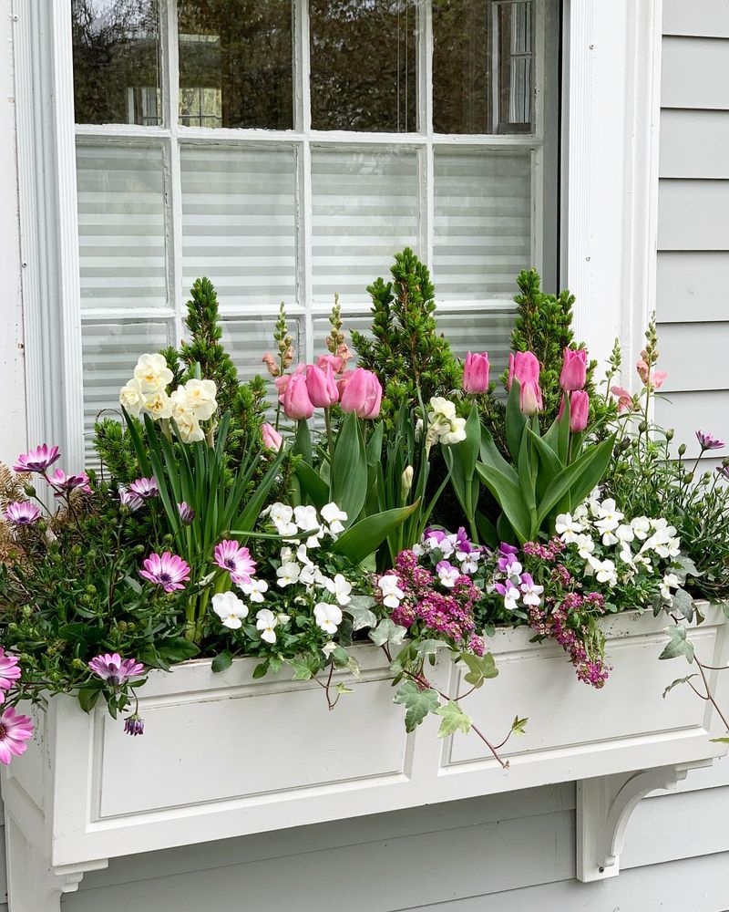 Add Seasonal Bulbs For Spring Displays