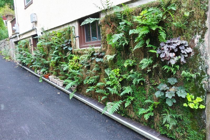 Create Wildlife-Friendly Spaces