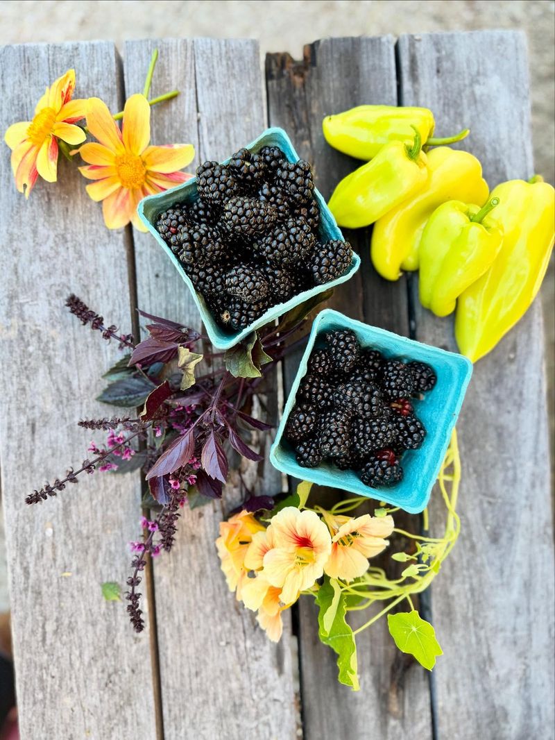 Focus on Edible Varieties