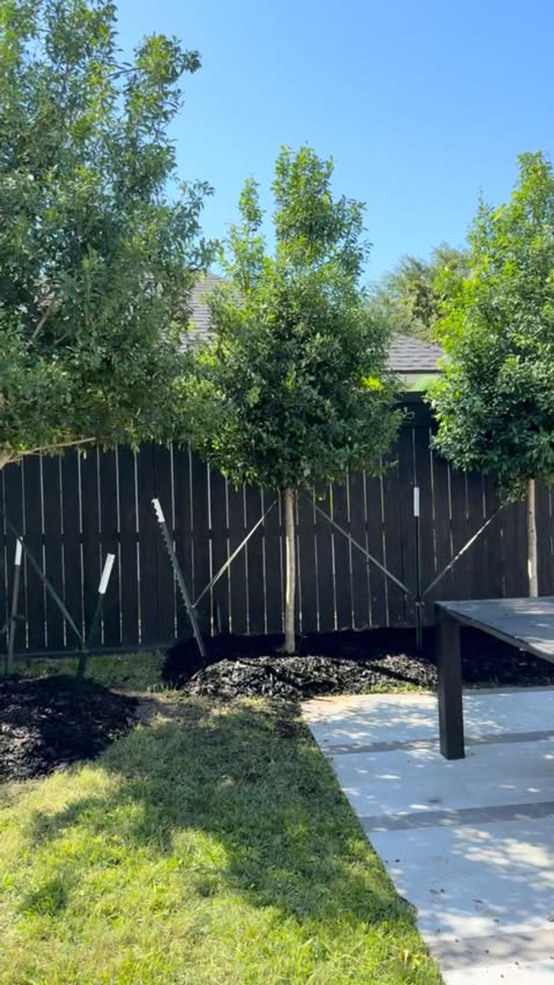 Temperature Moderation Around Outdoor Spaces