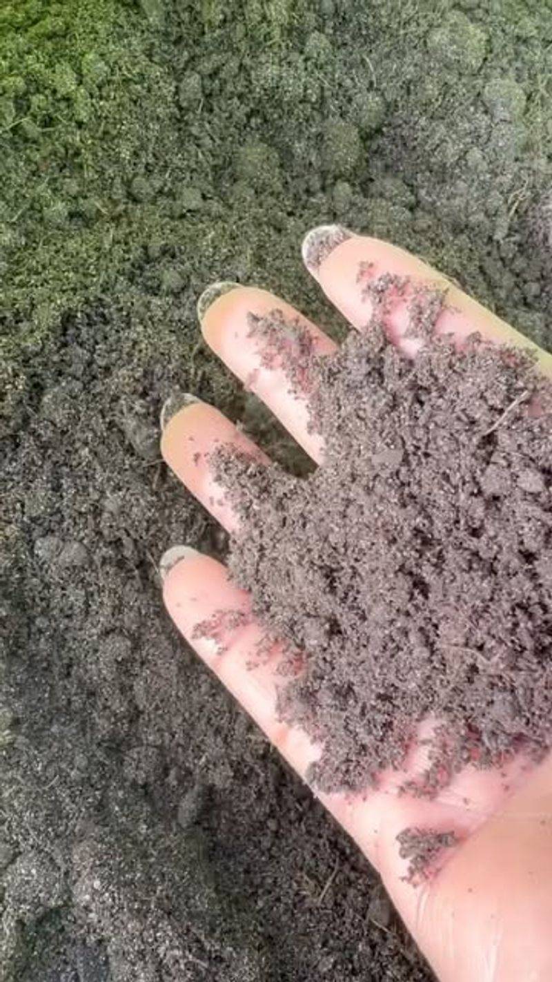 Soil Composition Changes