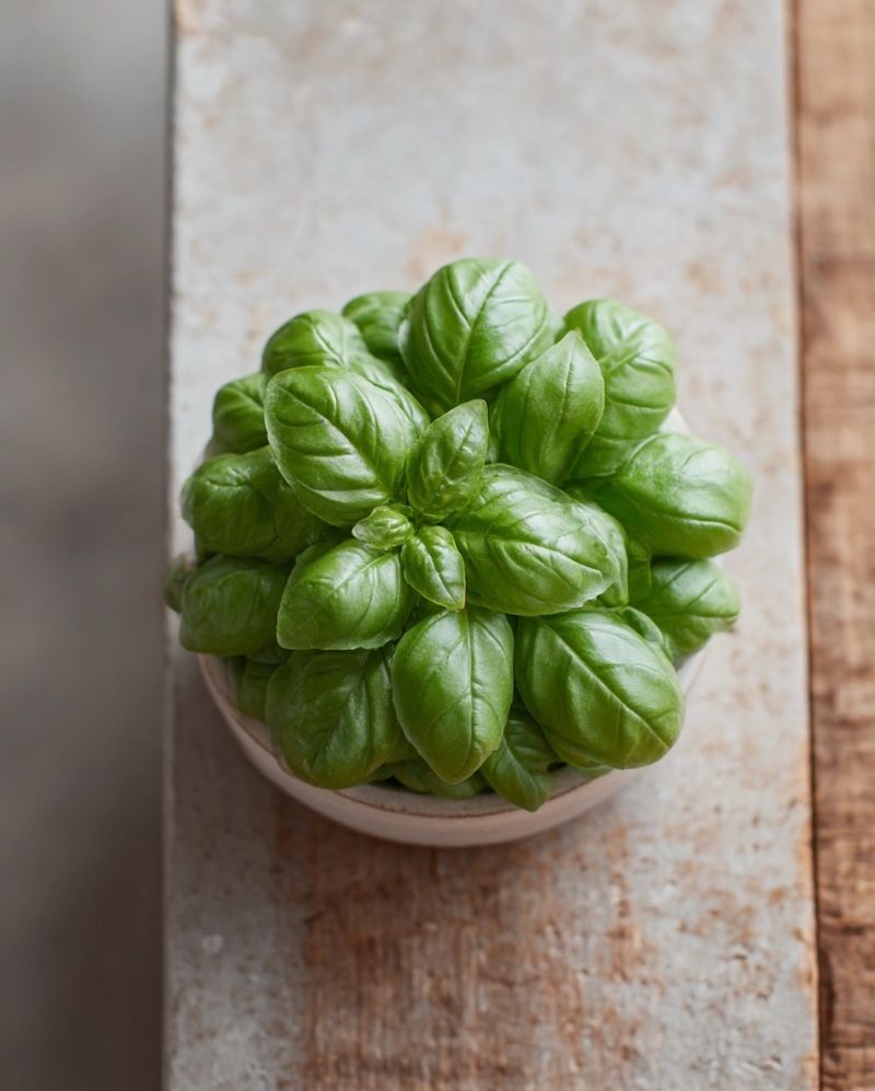 Basil: The Sun-Loving Italian Classic