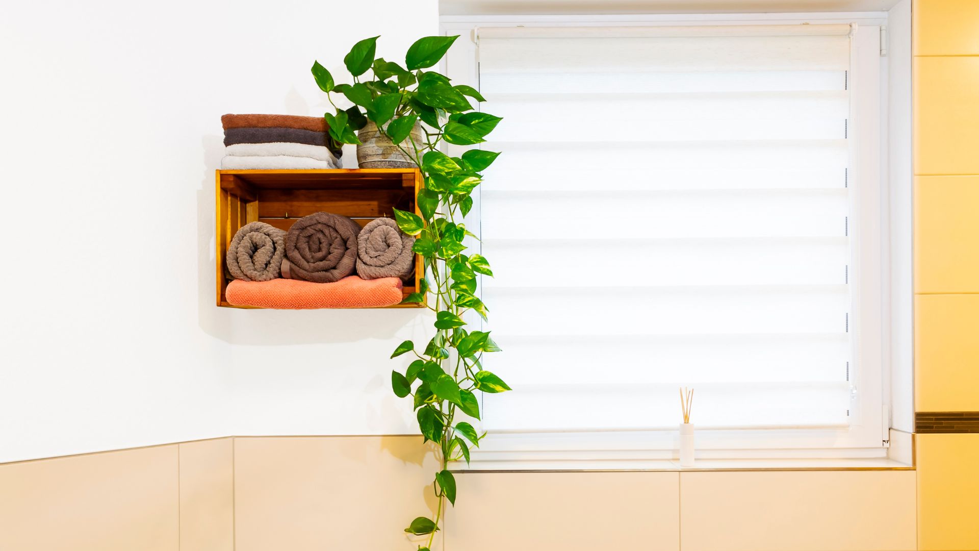 pothos bathroom