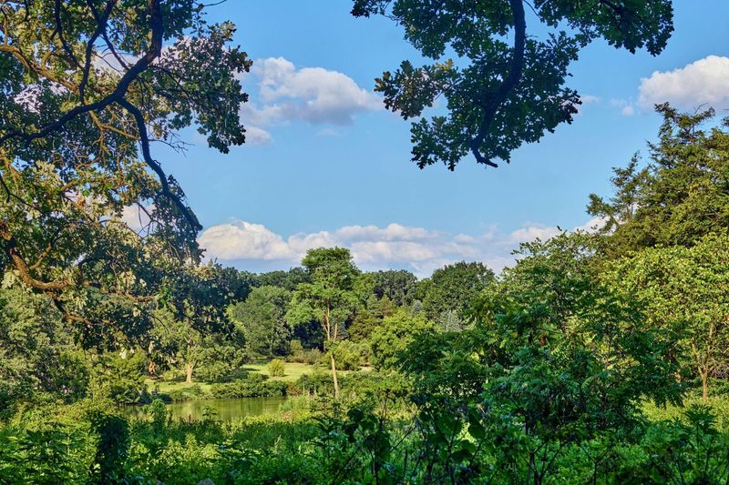 Champion Tree Conservation