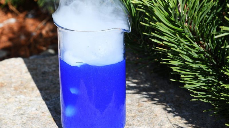 Apply Copper-Based Fungicide As Prevention
