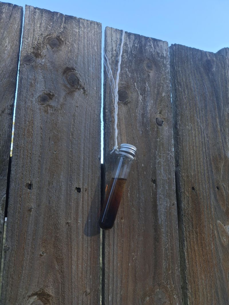 Use Predator Urine