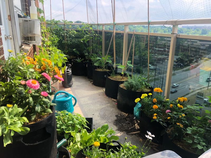 Create Microclimates