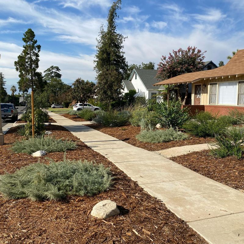 Reduce Lawn Areas