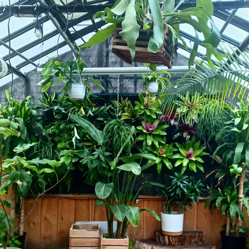 Vertical Garden Maintenance