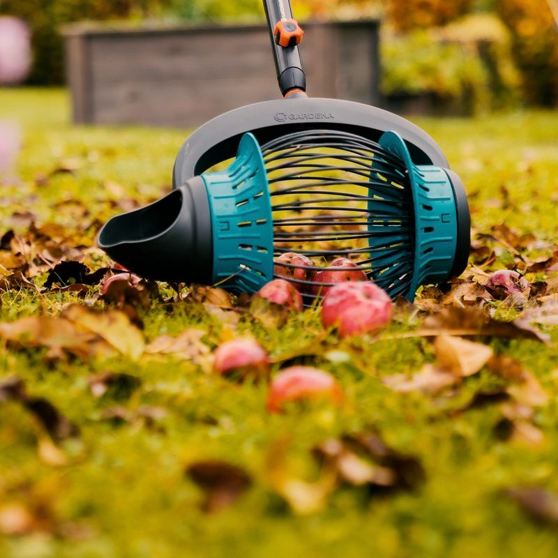 Remove Fallen Fruit From Your Orchard Area