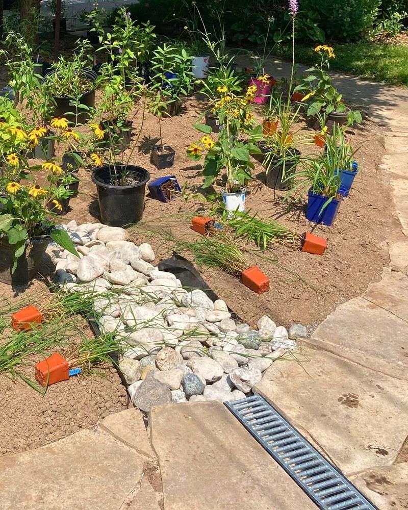 Create A Rain Garden For Excess Water