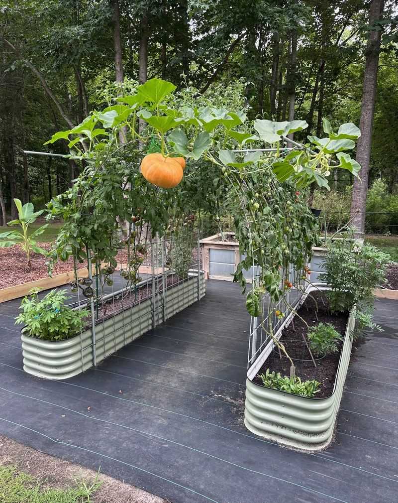 Implement Drip Irrigation