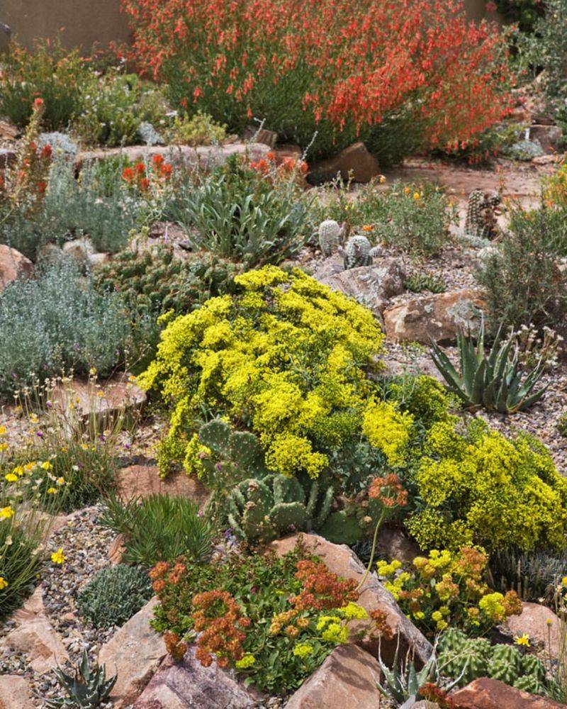 Protect Plants From Extreme Weather