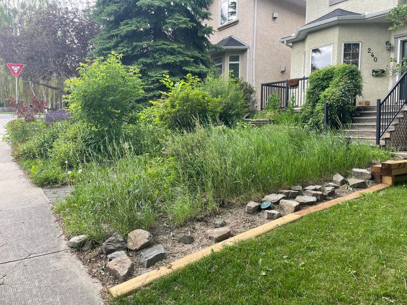Maintain Regular Yard Activity