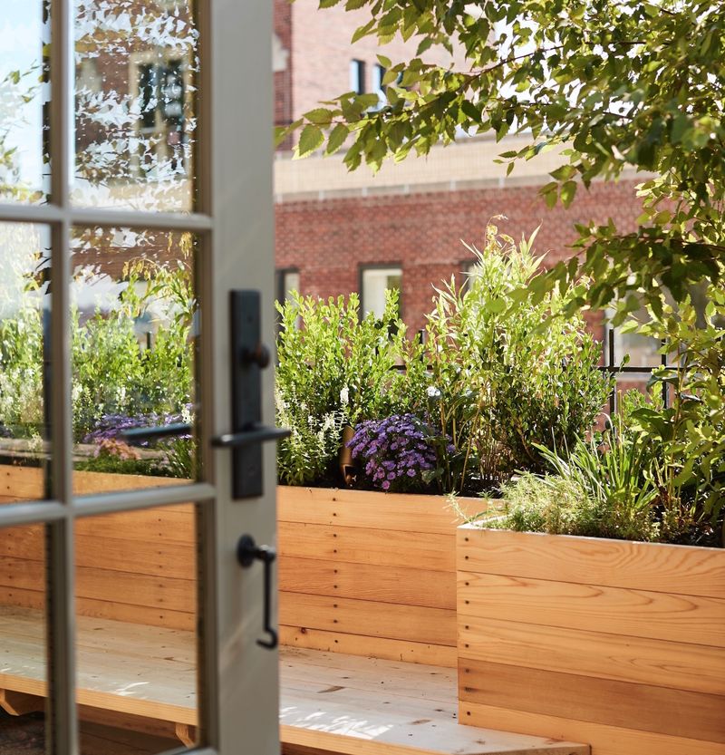 Choose Climate-Appropriate Plants